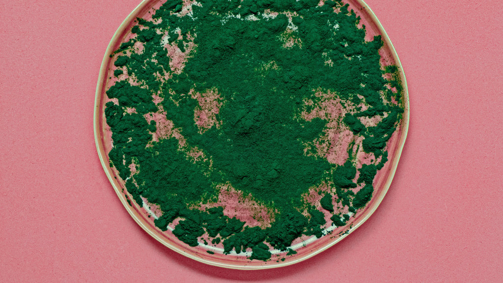Meet Marine Microalgae